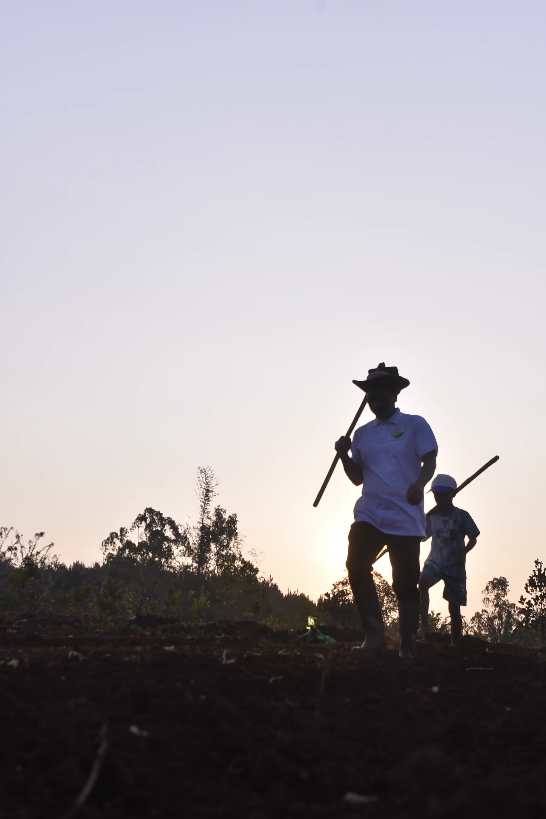 Khu vườn nhiệt đới tại Natural Farming Vietnam